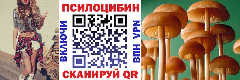 дарк нет Telegram  Няндома  Галлюциногенные грибы Magic Shrooms 